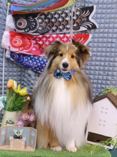 20230518ノアくん